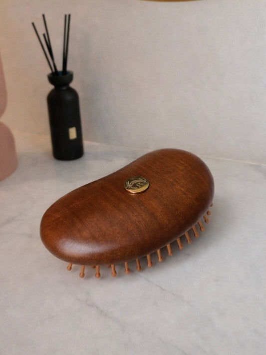 Brosse compacte en bois